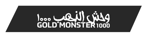 Antalya Minelab Gold Monster 1000 - Gold Monster 1000 küçük altın dedektörü